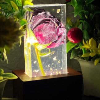 Rose Flower Preservation LED Resin Block