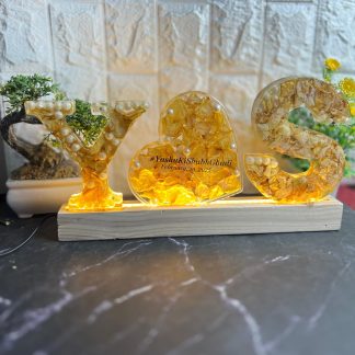 Custom Resin LED Name Frame with Varmala Flowers – Y💛S Initials ( 6- Size)