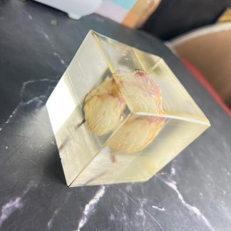 3 Inch Flower Preservation Resin Mini Cube