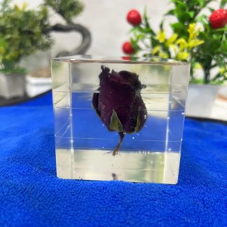Real Rose Flower Preservation Resin Cube – 3 Inch