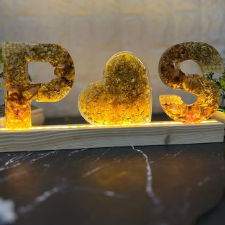 Name Letter Flower Preservation LED Resin Frame – 6 Inch