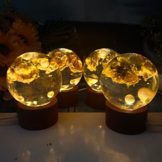 LED Resin Globe With Wedding Flower Preservation