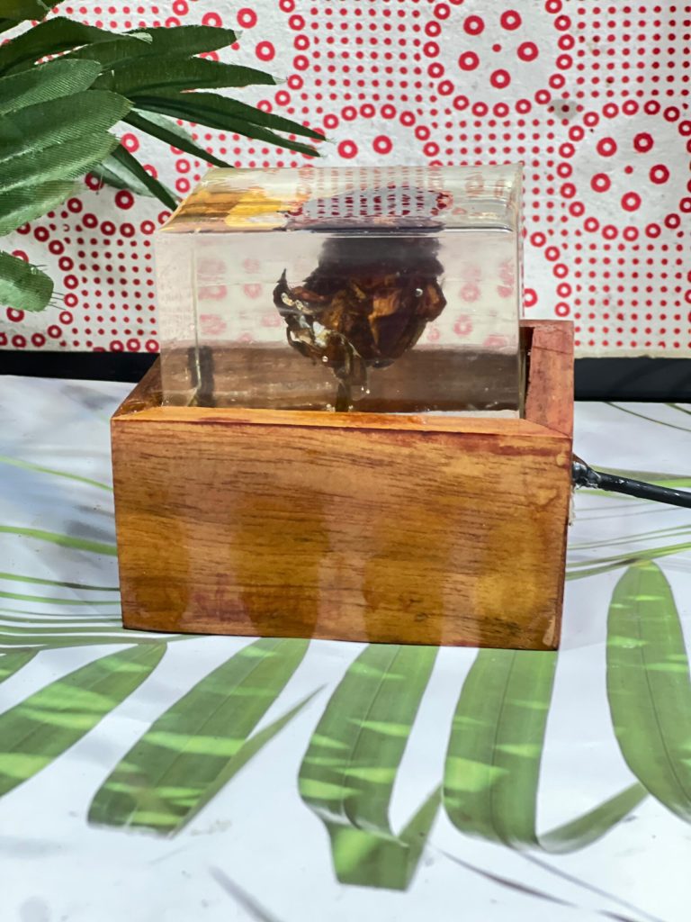 Preserve Flowers Resin LED Lamp